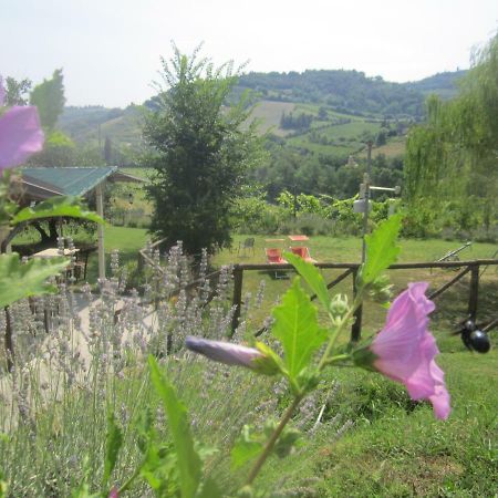 Le Spighe Agriturismo Cesena Exterior photo