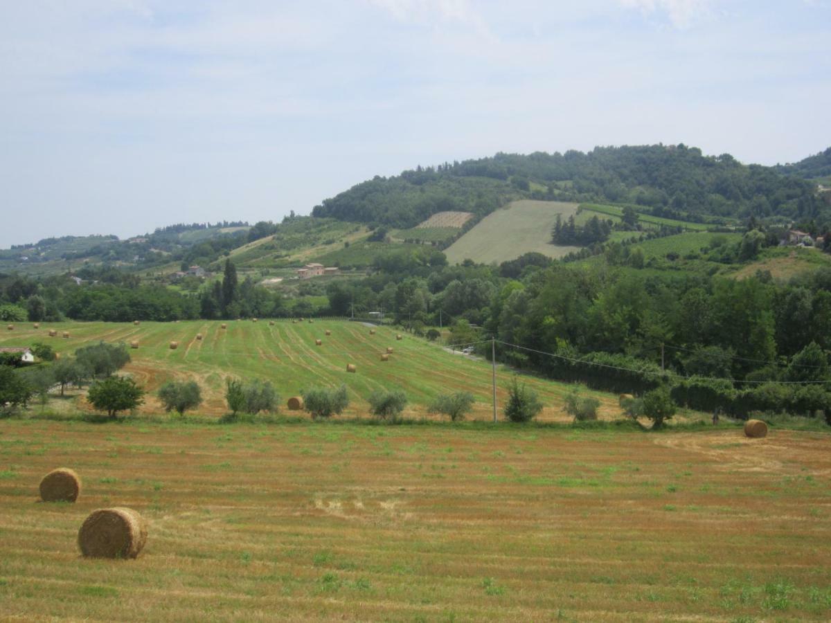 Le Spighe Agriturismo Cesena Exterior photo